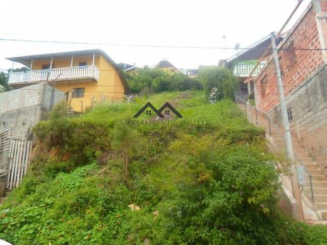 #t690a - Terreno para Venda em Campos do Jordão - SP - 1