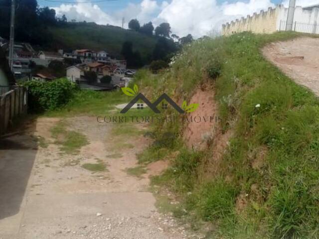 #t723a - Terreno para Venda em Campos do Jordão - SP - 3