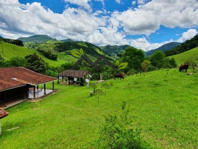 #s230 - Sítio para Venda em Sapucaí-Mirim - MG - 2