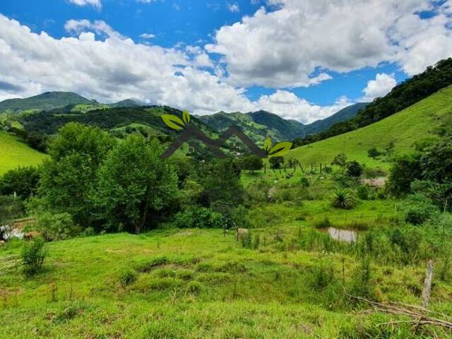 Sítio para Venda em Sapucaí-Mirim - 4