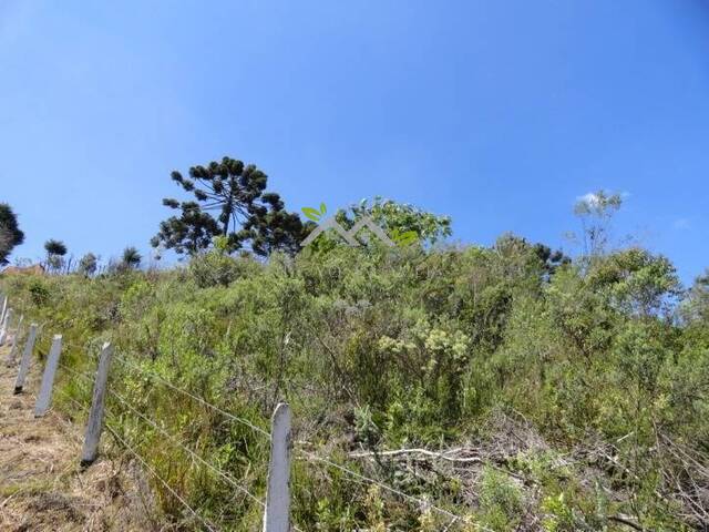 #t648a - Terreno para Venda em Campos do Jordão - SP - 1