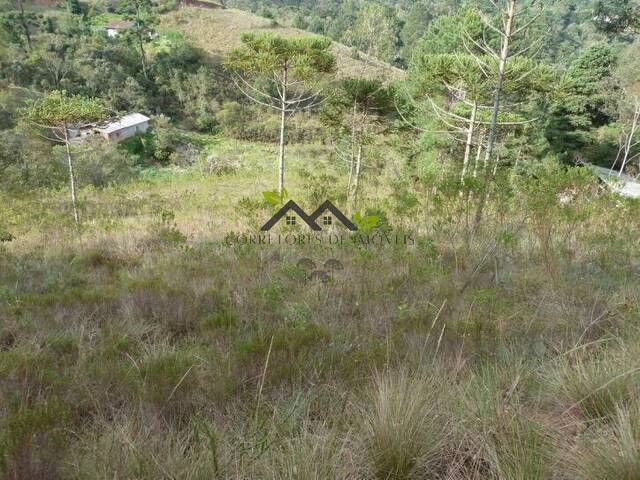 #t709a - Terreno para Venda em Campos do Jordão - SP - 2