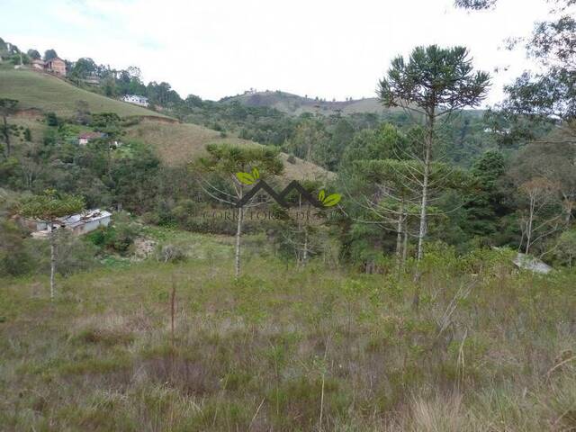 #t709a - Terreno para Venda em Campos do Jordão - SP - 1