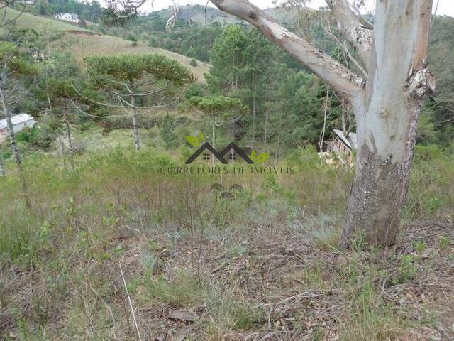 #t709a - Terreno para Venda em Campos do Jordão - SP - 3