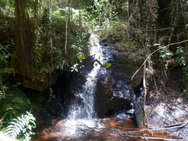 Venda em Região da Campista - São Bento do Sapucaí