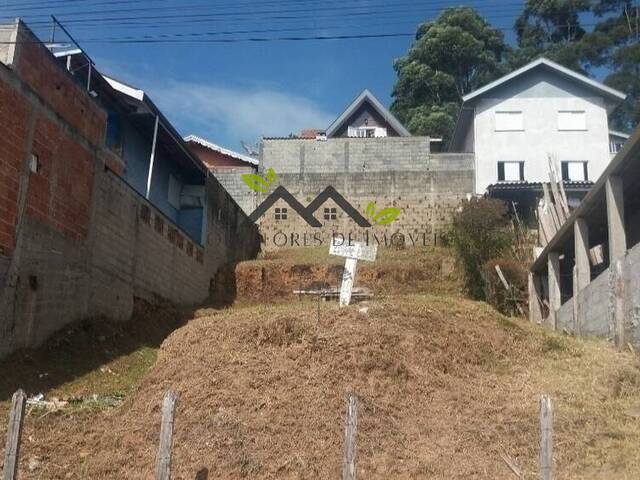 #t767a - Terreno para Venda em Campos do Jordão - SP - 2