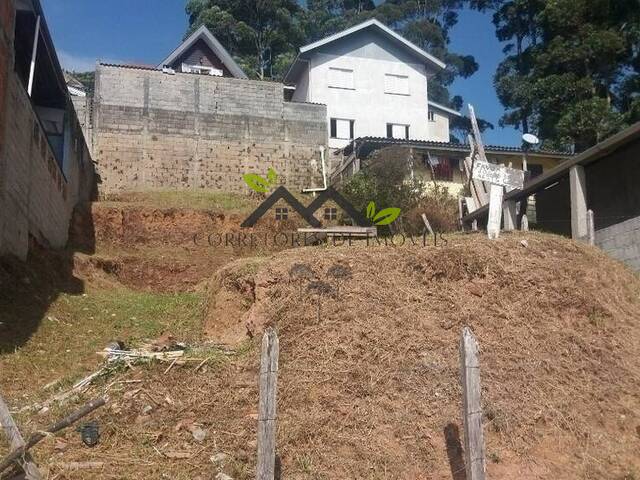 #t767a - Terreno para Venda em Campos do Jordão - SP - 1