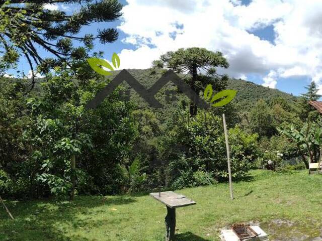 #c2029a - Casa para Venda em Campos do Jordão - SP - 2