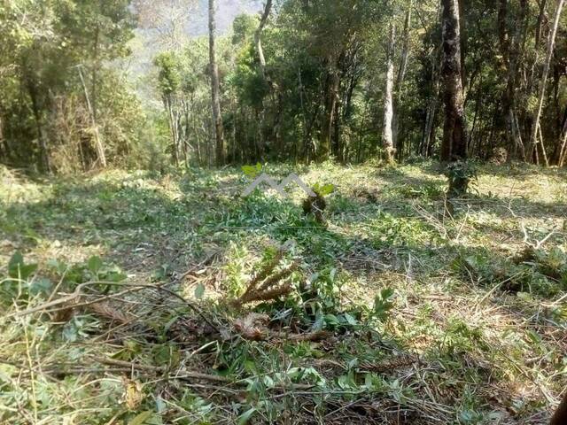 #t763a - Terreno para Venda em Campos do Jordão - SP - 1