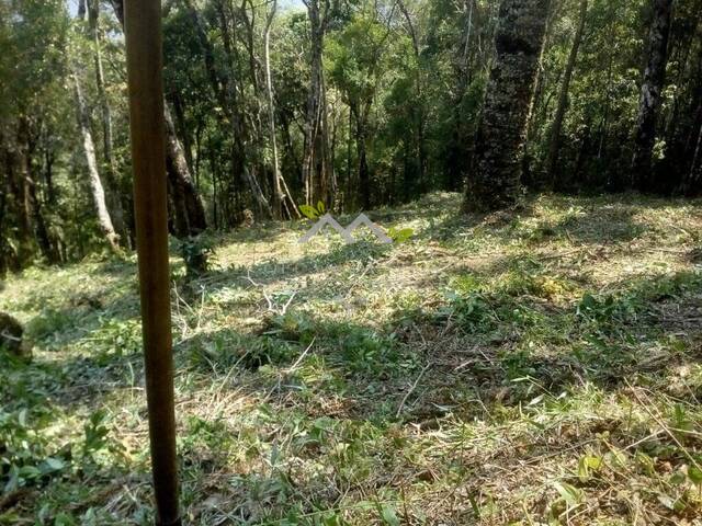 #t763a - Terreno para Venda em Campos do Jordão - SP - 2