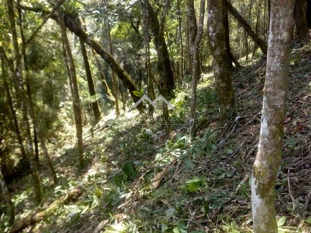 #t763a - Terreno para Venda em Campos do Jordão - SP - 3