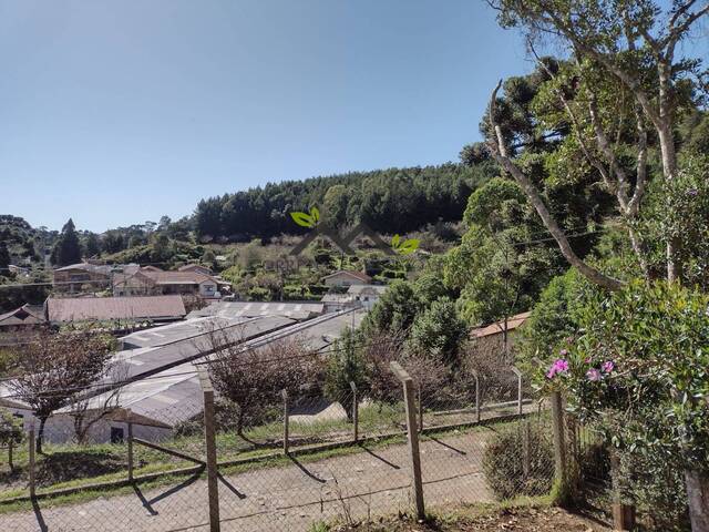 Casa para Venda em Campos do Jordão - 4