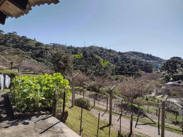 Casa para Venda em Campos do Jordão - 5