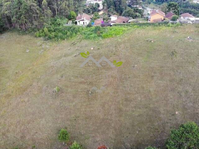 #2564 - Área para Venda em Campos do Jordão - SP - 3