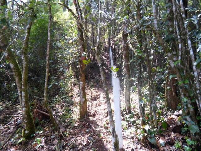 Área para Venda em Campos do Jordão - 4