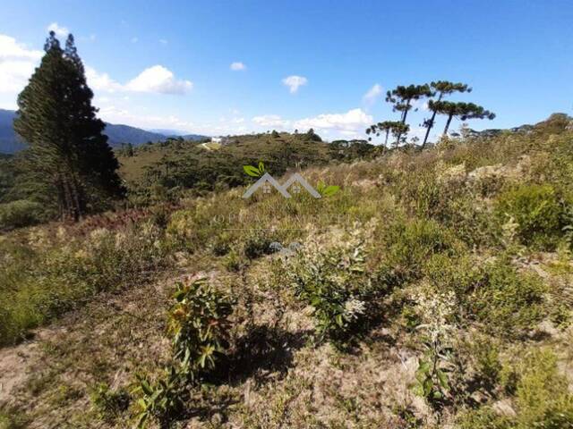 #t788a - Terreno para Venda em Campos do Jordão - SP - 3