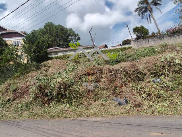 #t784a - Área para Venda em Campos do Jordão - SP - 3