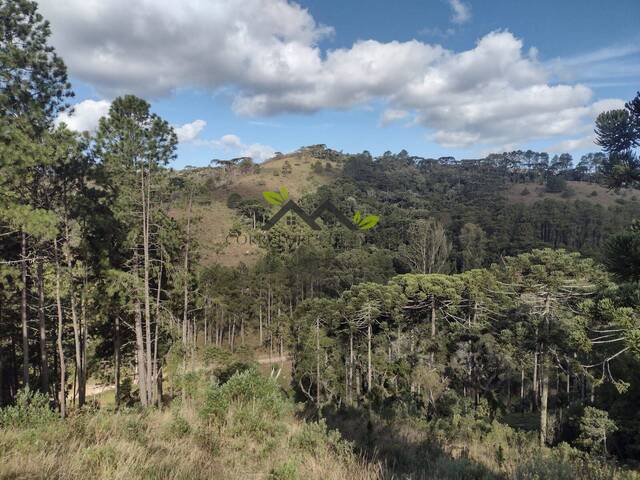 Apartamento para Venda em Campos do Jordão - 4