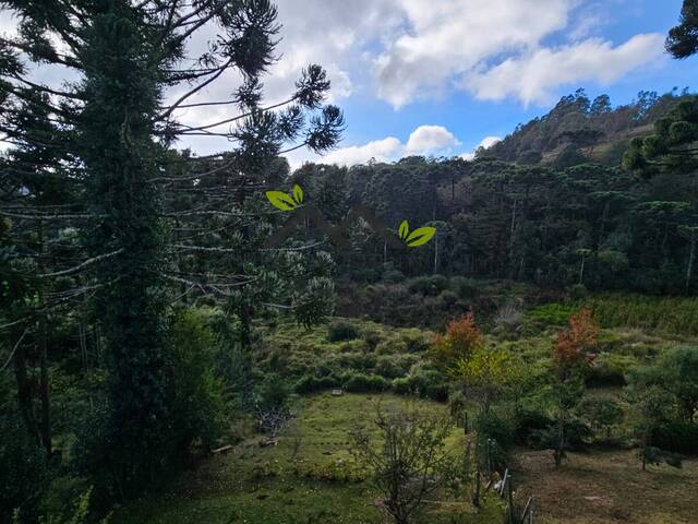 Casa para Venda em Campos do Jordão - 5