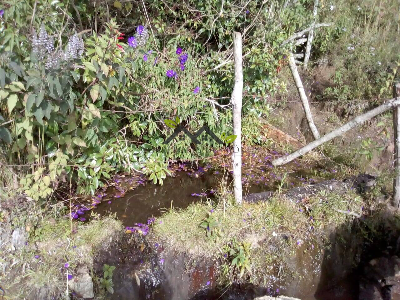 Terreno, 30 m² - Foto 4