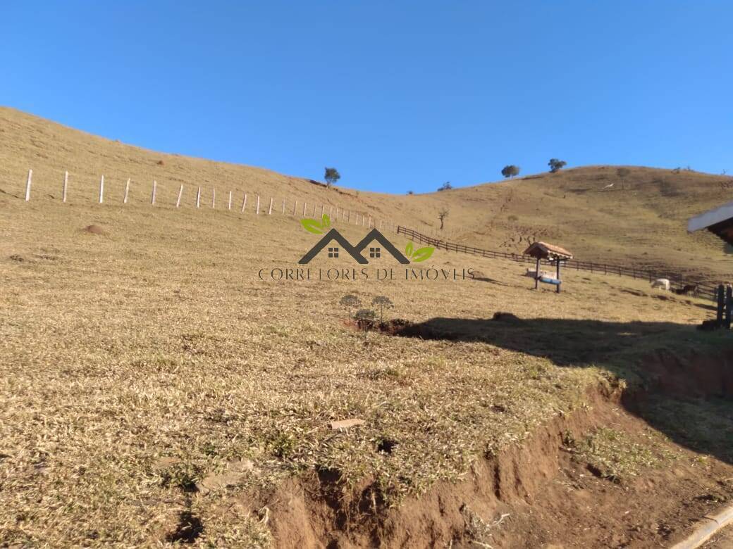 Terreno, 5 hectares - Foto 7