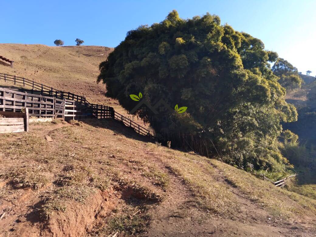 Terreno, 5 hectares - Foto 13