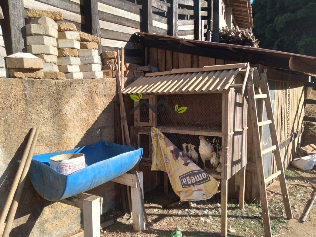 Terreno, 5 hectares - Foto 23