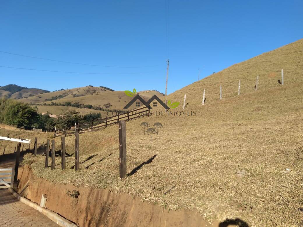 Terreno, 5 hectares - Foto 8