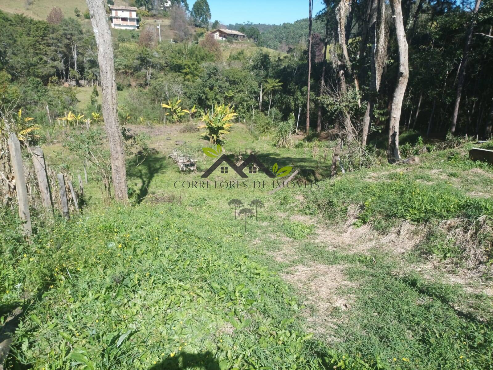 Terreno, 1600 m² - Foto 2