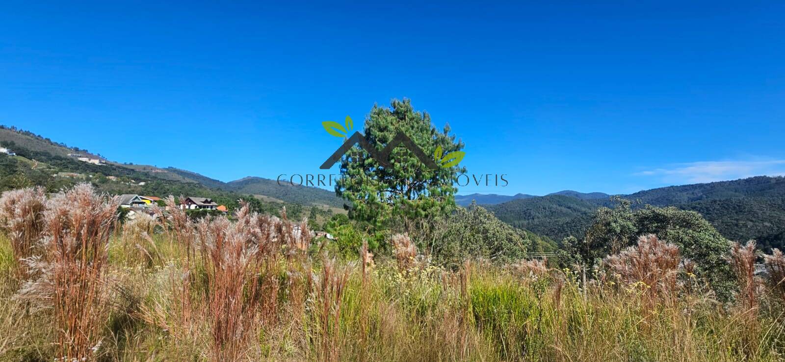 Terreno, 2100 m² - Foto 4