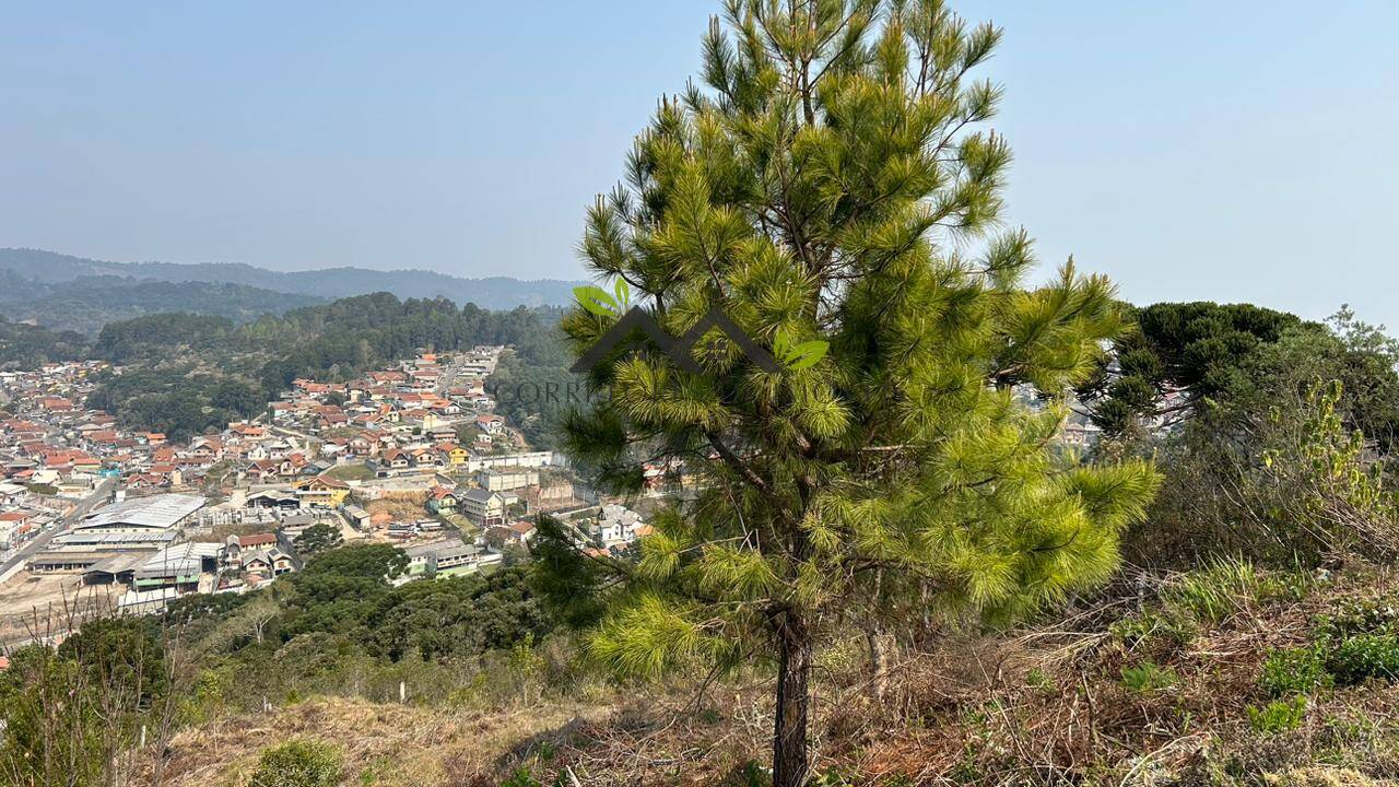 Terreno, 475 m² - Foto 6