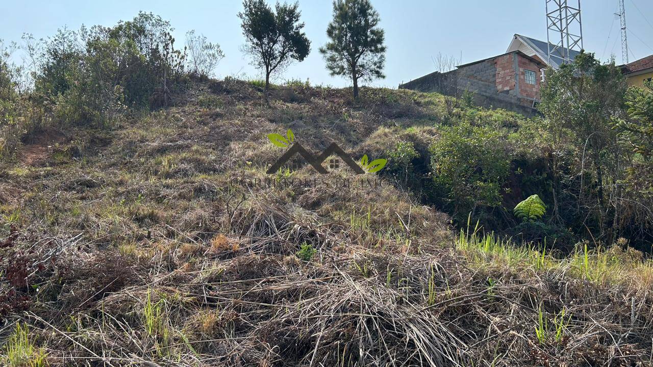 Terreno, 475 m² - Foto 5