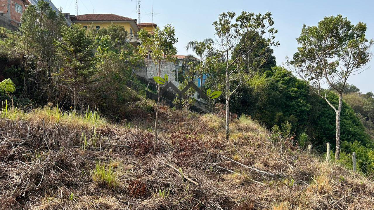 Terreno, 475 m² - Foto 8