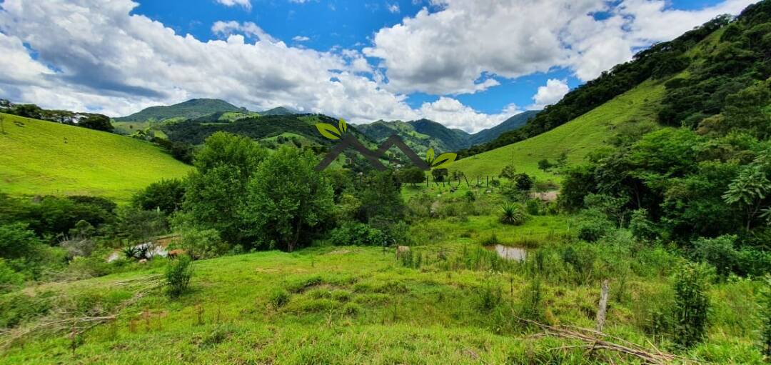 Sítio, 3 quartos, 1 hectares - Foto 4