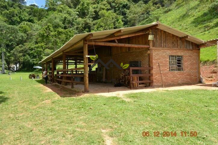 Sítio à venda com 1 quarto, 200m² - Foto 3