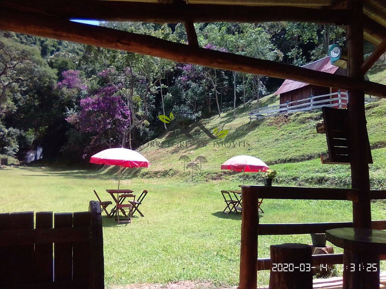 Sítio à venda com 1 quarto, 200m² - Foto 12