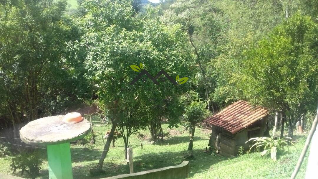 Chácara, 3 quartos, 4464 m² - Foto 9