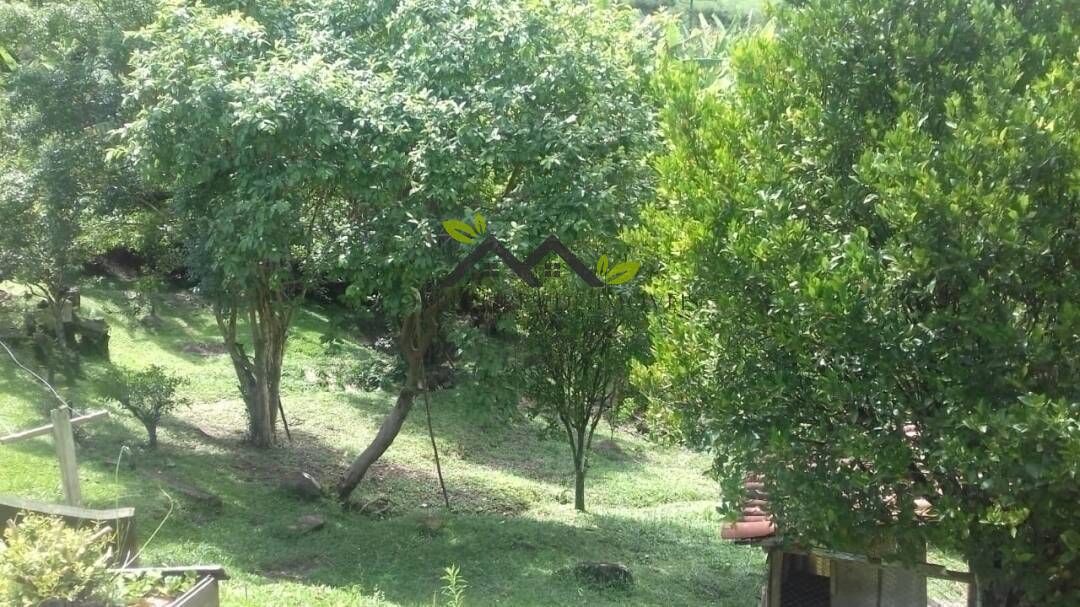 Chácara, 3 quartos, 4464 m² - Foto 10