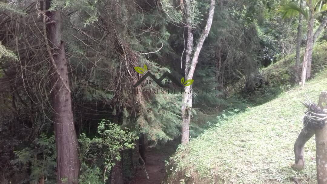 Chácara, 3 quartos, 4464 m² - Foto 33