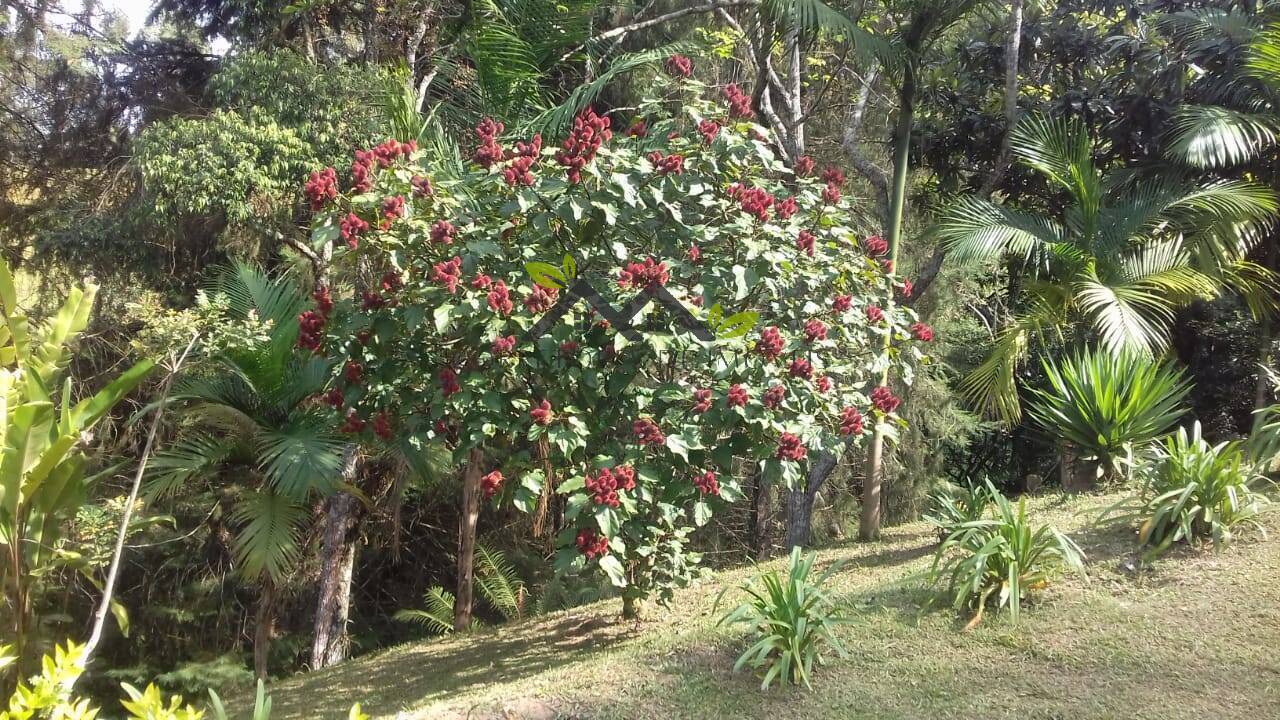 Chácara, 3 quartos, 4464 m² - Foto 37