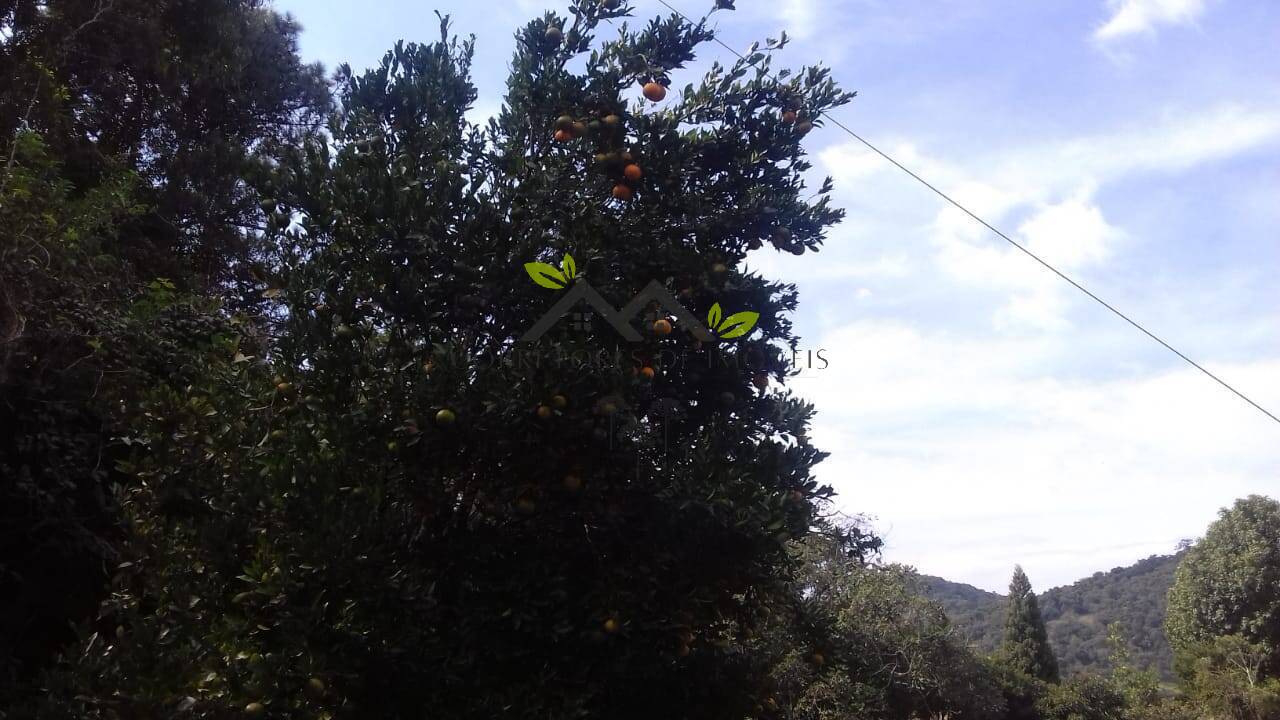 Chácara, 3 quartos, 4464 m² - Foto 38