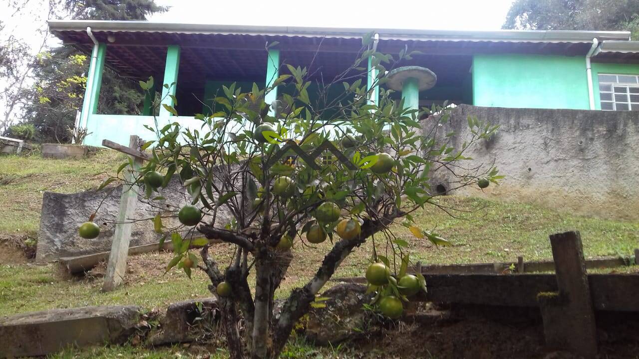 Chácara, 3 quartos, 4464 m² - Foto 52