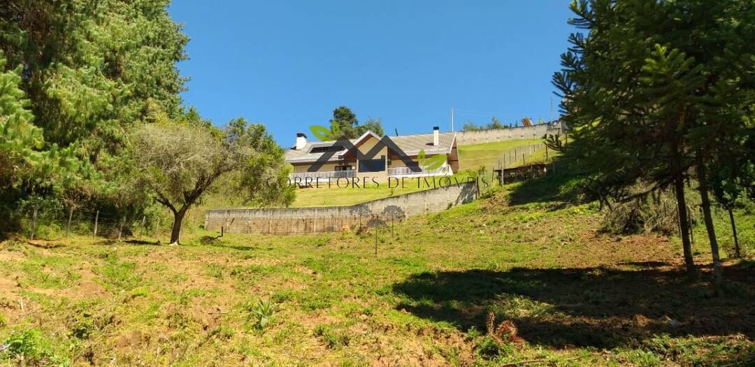 Casa, 3 quartos, 434 m² - Foto 51