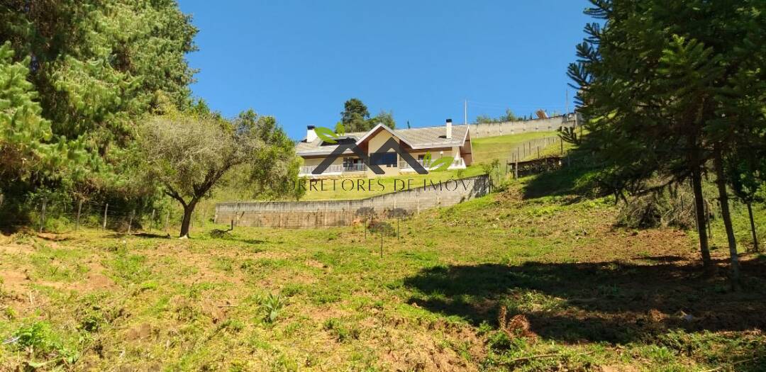Casa, 3 quartos, 434 m² - Foto 52