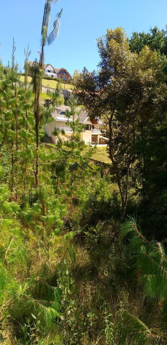 Casa, 3 quartos, 434 m² - Foto 54